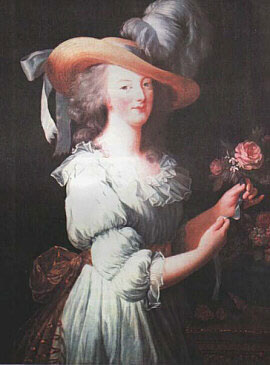 Marie-Antoinette rose